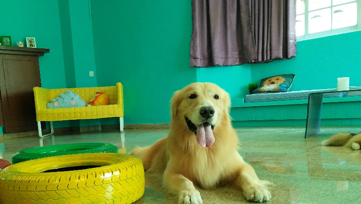 The air-conditioned play room at Wanderlodge